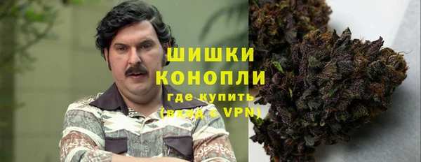 шишки Инта