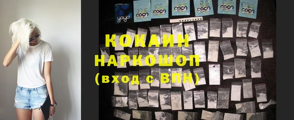 шишки Инта