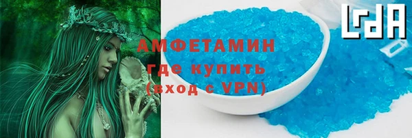шишки Инта