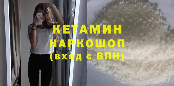 шишки Инта