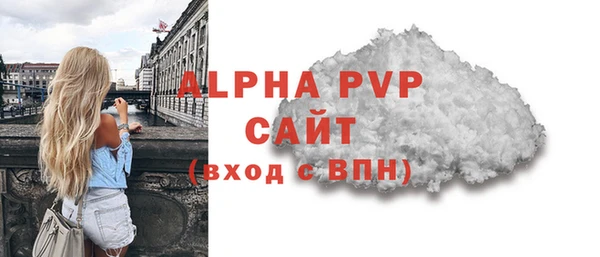 шишки Инта