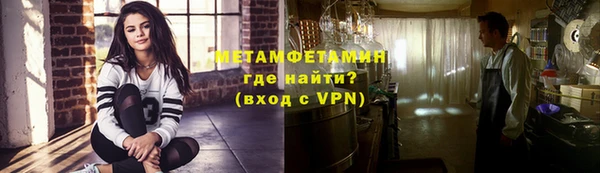 шишки Инта
