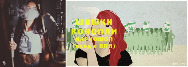 шишки Инта