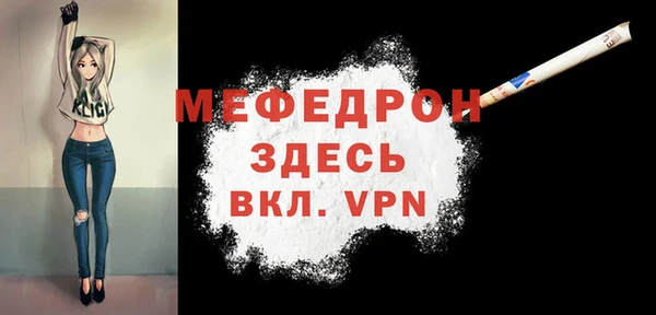 шишки Инта