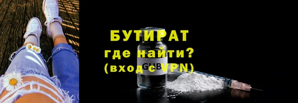 шишки Инта