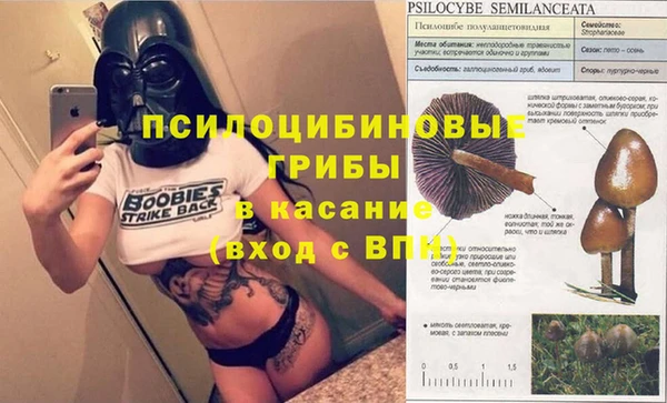 шишки Инта