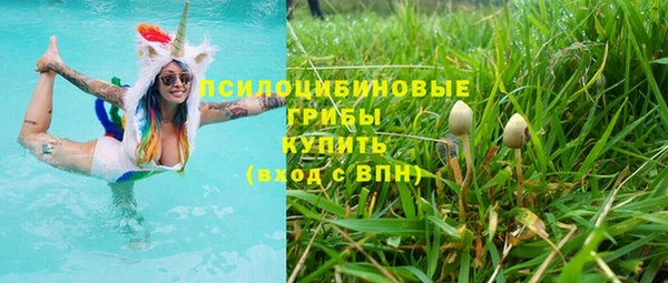шишки Инта