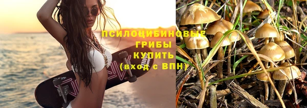 эйфоретик Ессентукская