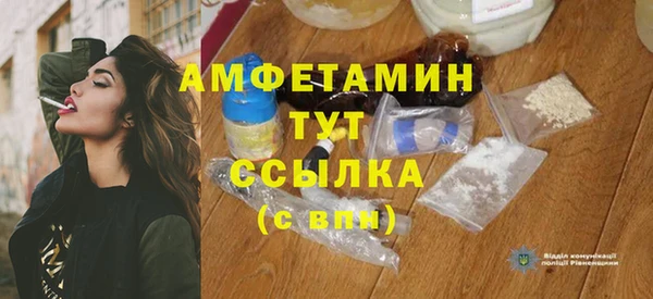 шишки Инта