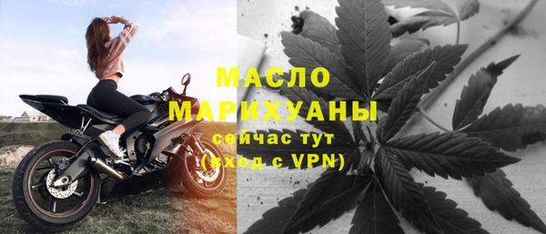 шишки Инта