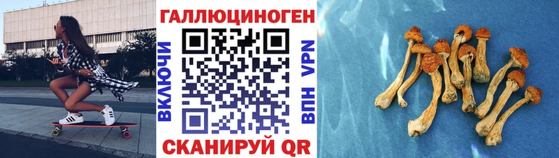 Псилоцибиновые грибы мицелий  Славгород 