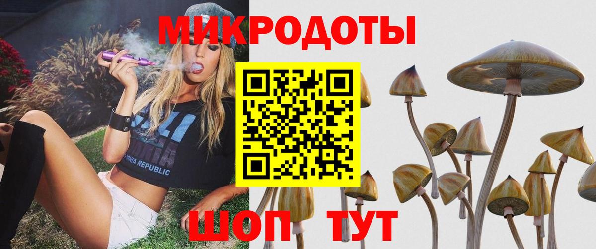 что такое   Славгород  Галлюциногенные грибы GOLDEN TEACHER 