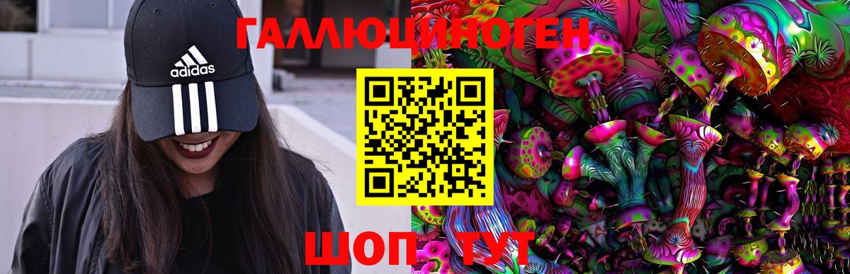 Псилоцибиновые грибы Cubensis  Галлюциногенные грибы ЛСД  Славгород  Вход с VPN 